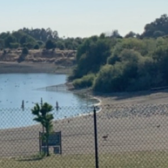 Meet your Posher, A - Picture 1 of 1